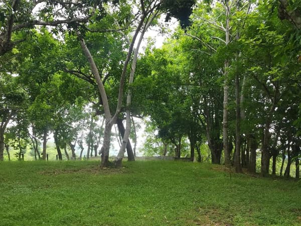 Acceso pavimentado terreno en venta Monte Plata